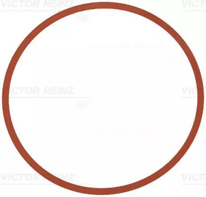 VICTOR REINZ Gasket, intake manifold (71-11403-00)