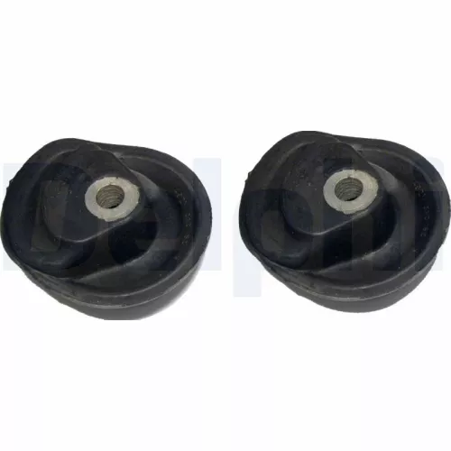 DELPHI Bushing, axle beam (TD485W)