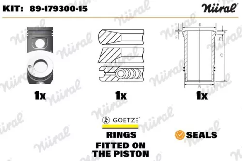 NÜRAL Repair Kit, piston/cylinder liner (89-179300-15)