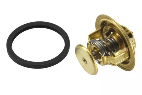 BorgWarner (Wahler) Thermostat, coolant (4022.88D)
