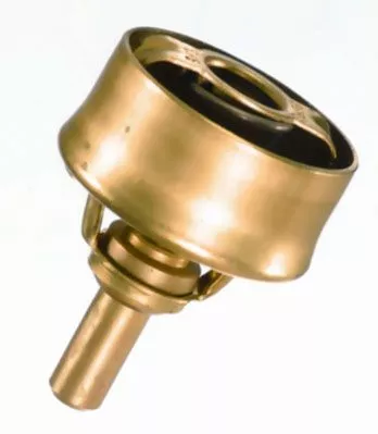 BorgWarner (Wahler) Thermostat, coolant (3029.89)