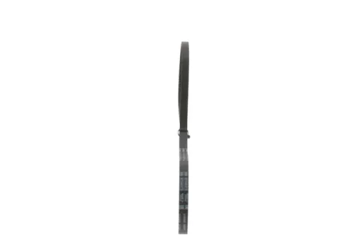 BOSCH V-Belt (1987947616)
