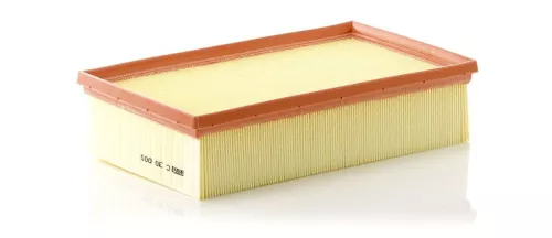 MANN-FILTER Air Filter (C30005)