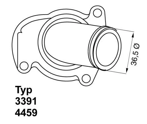Thermostat, coolant