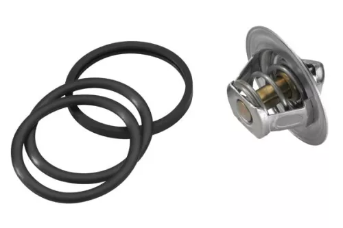 BorgWarner (Wahler) Thermostat, coolant (3136.88D50)