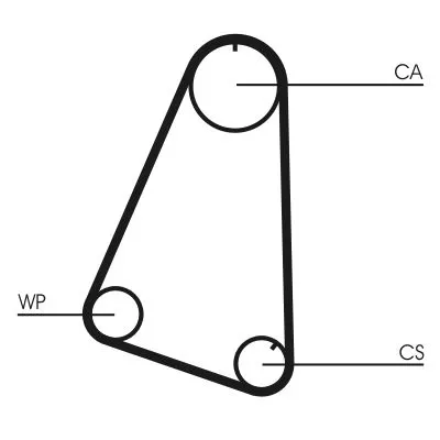 Timing Belt