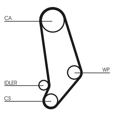 Timing Belt