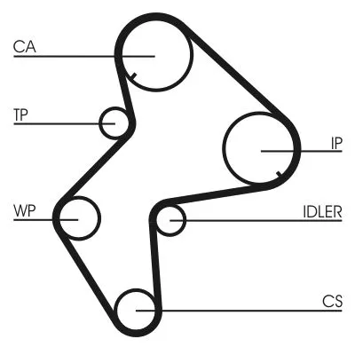 CONTINENTAL CTAM Timing Belt (CT772)