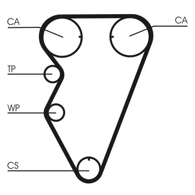 CONTINENTAL CTAM Timing Belt (CT974)
