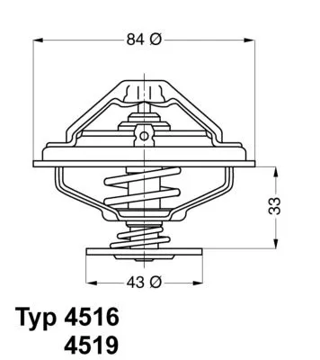 BorgWarner (Wahler) Thermostat, coolant (4516.85D)