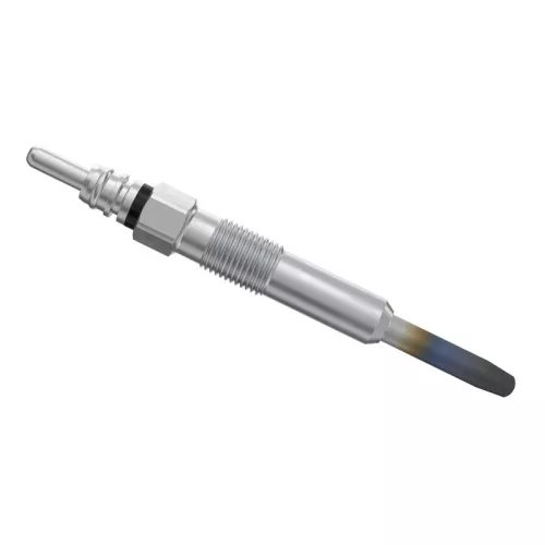 BOSCH Glow Plug (0250202022)
