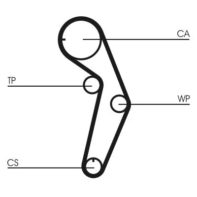 Timing Belt