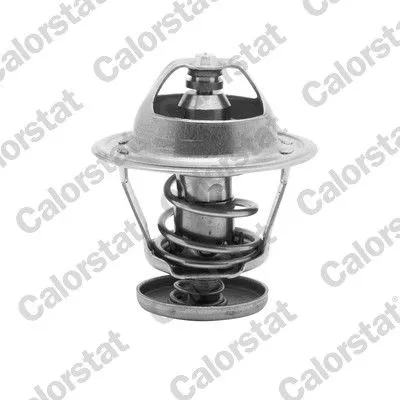 CALORSTAT by Vernet Thermostat, coolant (5079.82/J)