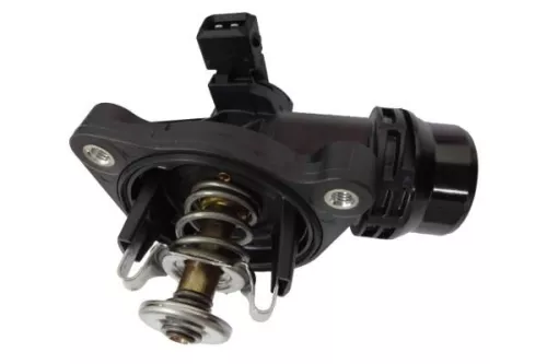 BorgWarner (Wahler) Thermostat, coolant (4337.105D)