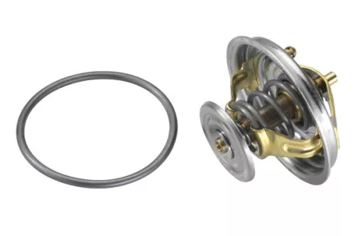 BorgWarner (Wahler) Thermostat, coolant (4274.82D)