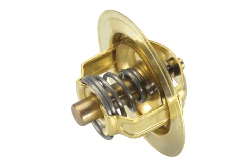 BorgWarner (Wahler) Thermostat, coolant (3032.80)