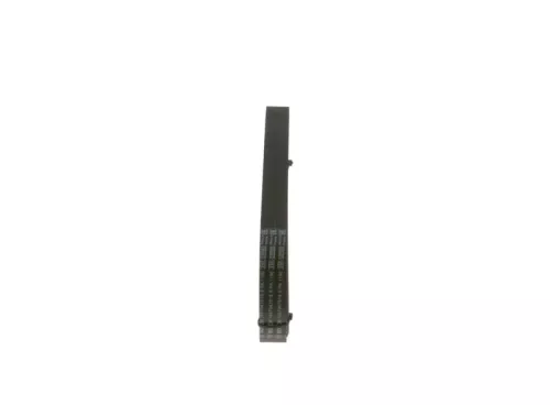 BOSCH V-Ribbed Belt (1987947818)