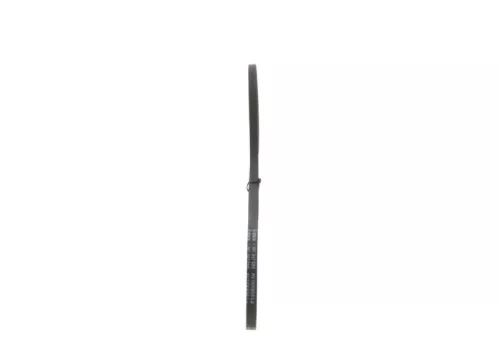 BOSCH V-Belt (1987947689)