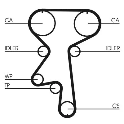 CONTINENTAL CTAM Timing Belt (CT924)