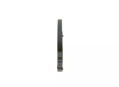 BOSCH V-Ribbed Belt (1987948413)