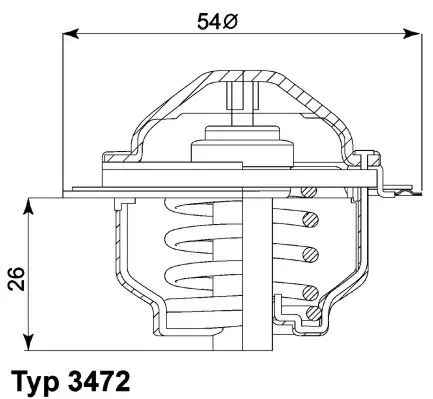 Thermostat, coolant