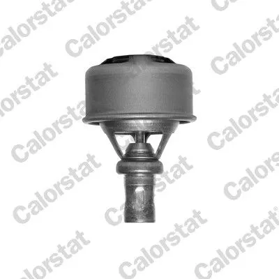 CALORSTAT by Vernet Thermostat, coolant (4495.89)