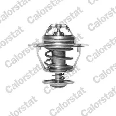 CALORSTAT by Vernet Thermostat, coolant (6319.88/J)