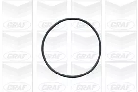 GRAF Water Pump, engine cooling (PA423)