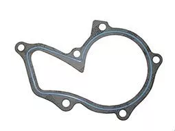 GRAF Water Pump, engine cooling (PA612)