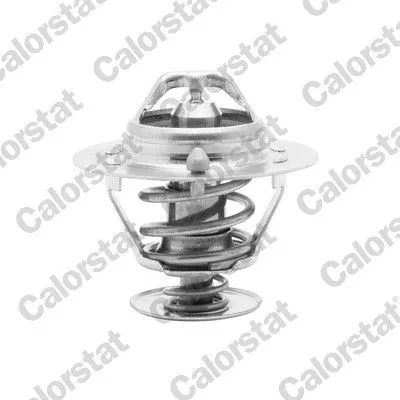 CALORSTAT by Vernet Thermostat, coolant (6294.82/J)