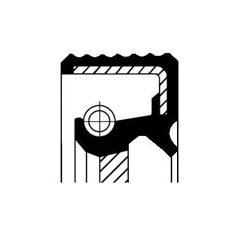 CORTECO Shaft Seal, camshaft (20018100)