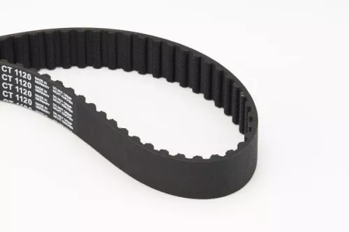Timing Belt