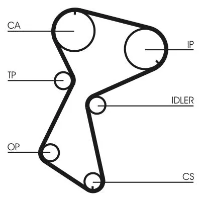 CONTINENTAL CTAM Timing Belt Kit (CT935K2)