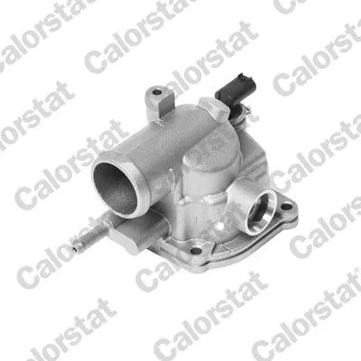 CALORSTAT by Vernet Thermostat, coolant (6846.92/J)