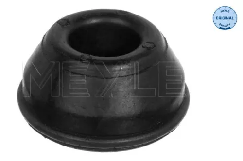 Mounting, control/trailing arm