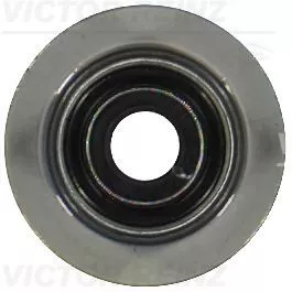 Seal Ring, valve stem