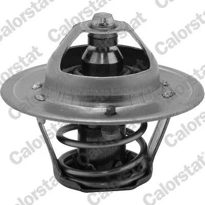 CALORSTAT by Vernet Thermostat, coolant (6313.88/J)