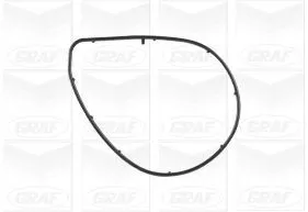 GRAF Water Pump, engine cooling (PA1001)