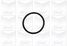 GRAF Water Pump, engine cooling (PA886)