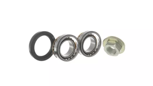 SKF Wheel Bearing Kit (VKBA3666)