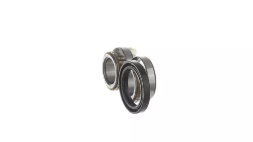 SKF Wheel Bearing Kit (VKBA3666)