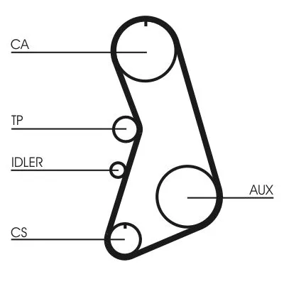 CONTINENTAL CTAM Timing Belt Kit (CT919K2)