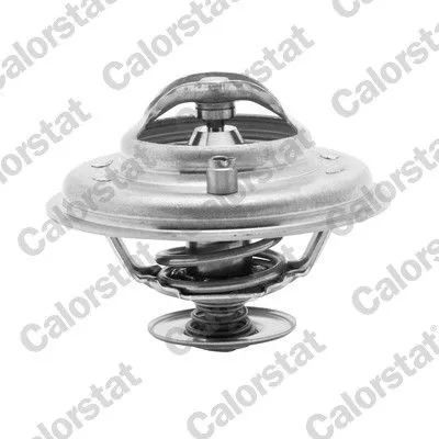 CALORSTAT by Vernet Thermostat, coolant (5973.87J)