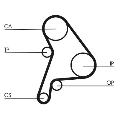 CONTINENTAL CTAM Timing Belt Kit (CT1012K2)