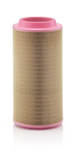 MANN-FILTER Air Filter (C20500)