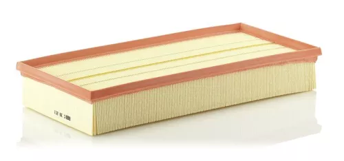 MANN-FILTER Air Filter (C39201)