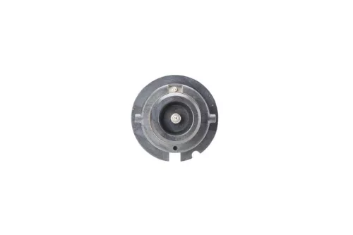 BOSCH Bulb, headlight (1987302903)