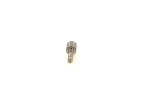 BOSCH Nozzle (0433171933)