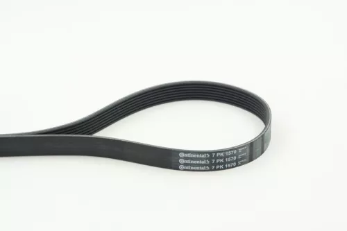 V-ribbed Belt