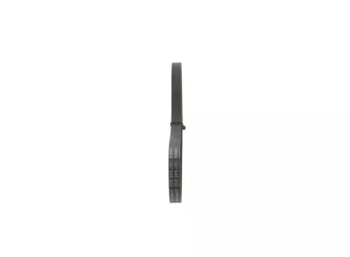 BOSCH V-ribbed Belt (1987948302)